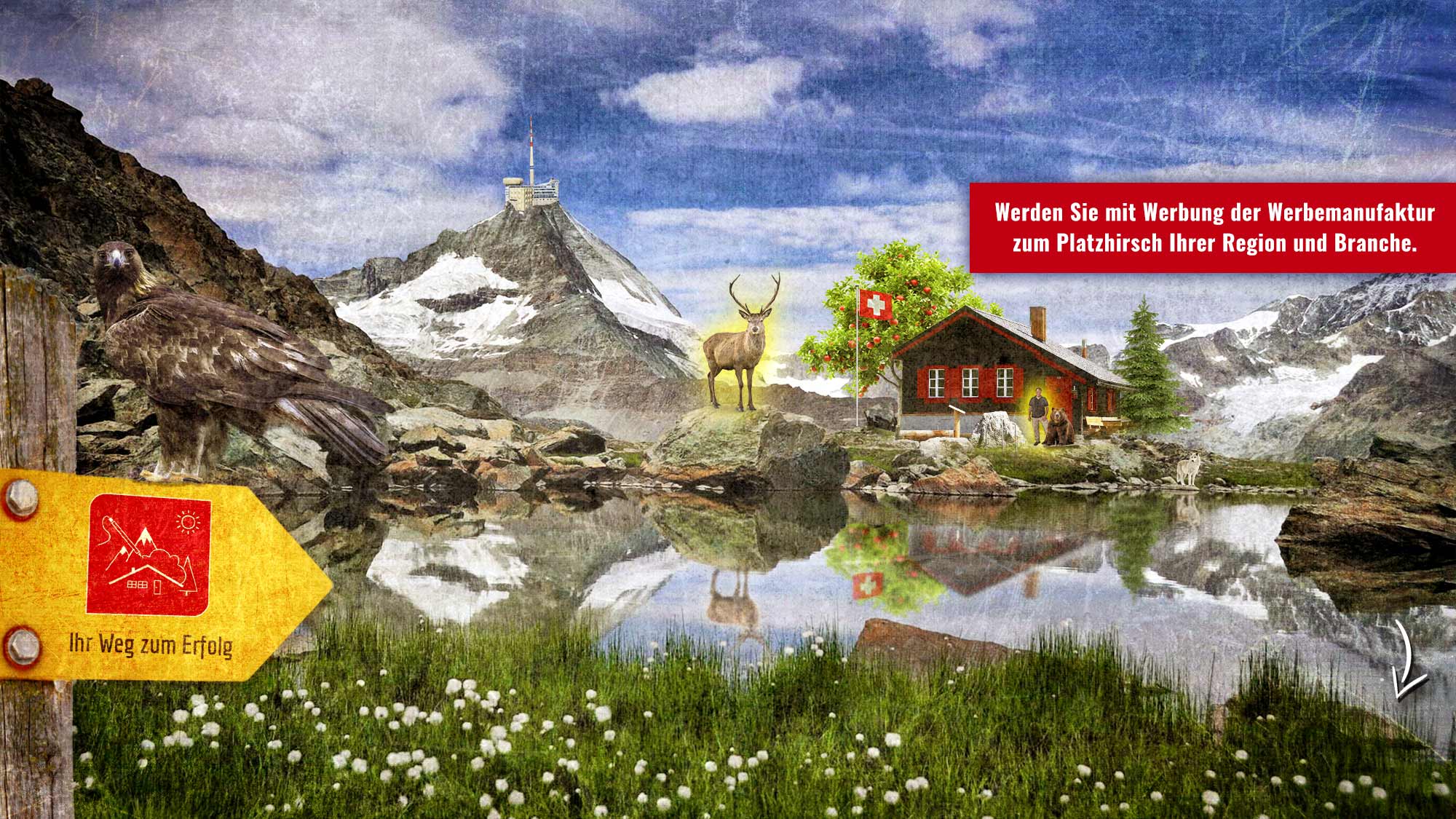 Werbeagentur und Kreativagentur für den Kanton Thurgau / Schweiz